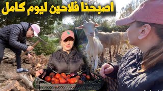 اخيرا حققت لزاي حلمهاعشنا حياة  الريف ليوم كامل في القرى الجزائرية 🤠🇩🇿 | زاي اصبحت فلاحة 😱