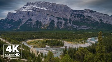 Calm Music for Relaxation and Positive Energy | Soothing Music | Stress Relief | Meditation Music