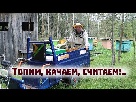 Сколько меда накачали? //Крольчиха-рекордсмен! //Хряка-вернули.