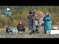 Mongolian shaman 130. Бурхан халдун нэгдсэн тахилга