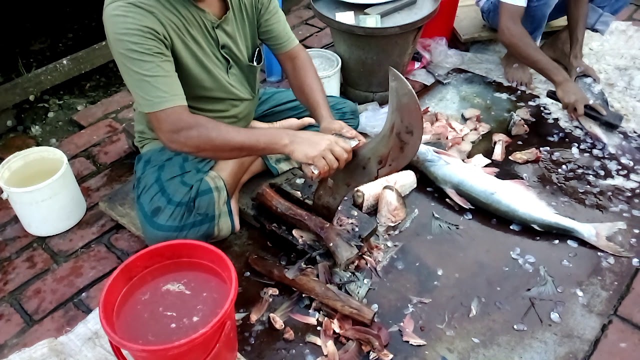 Fish cutting / How to big fish cutting, fastest fish cutting, YouTube