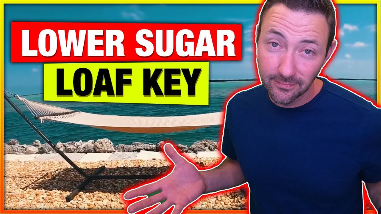 Lower Sugar Loaf Key [FULL VLOG TOUR] YouTube