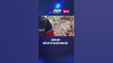 Xuất hiện vết nứt chạy dọc núi, Quảng Nam khẩn cấp sơ tán dân trong đêm #tintuc24h