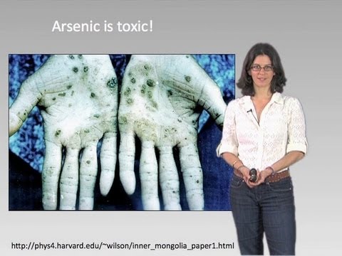 Dianne Newman Part 2: Microbial Respiration of Ars...