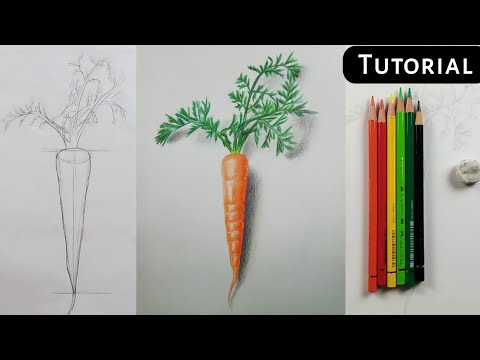 Realistic Carrot Vector Art Collection Stock Vector (Royalty Free)  2306011993 | Shutterstock