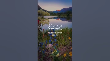 تلاوة من سورة الحجرات #quran #قرآن