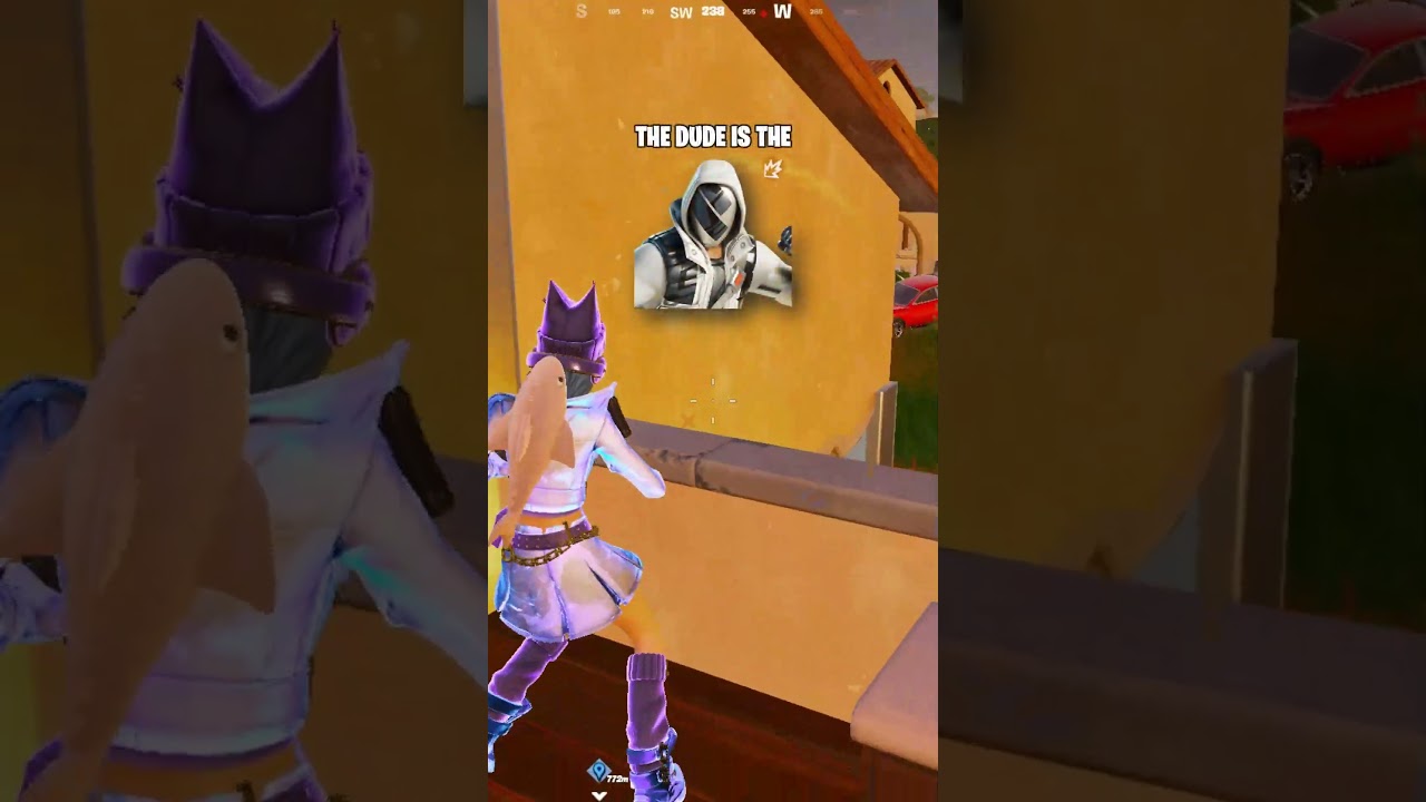 The BEST "Be The Mystery" SKIN in FORTNITE