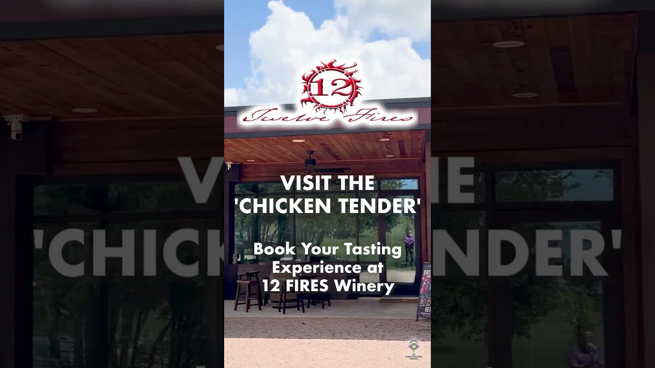An Intimate Wine Tasting Experience at 12 Fires Winery 🥂#shorts #texaswine