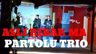 WOW....SUARANYA NGERI X..TIBBO X || DANG MARSAPATA - cipt.Jonar Situmorang || Cover PARTOLU TRIO..