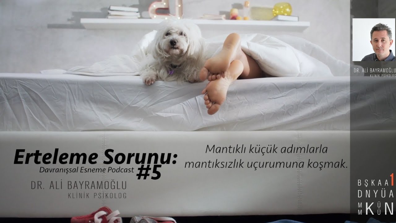 ERTELEME SORUNU (1): MANTIKLI KÜÇÜK ADIMLARLA MANTIKSIZLIK UÇURUMUNA KOŞMAK - Davranışsal Esneme #5