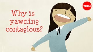 Why is yawning contagious?  Claudia Aguirre