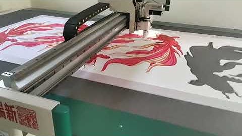Edge tracing cnc digital cutter oscillating with CCD camera