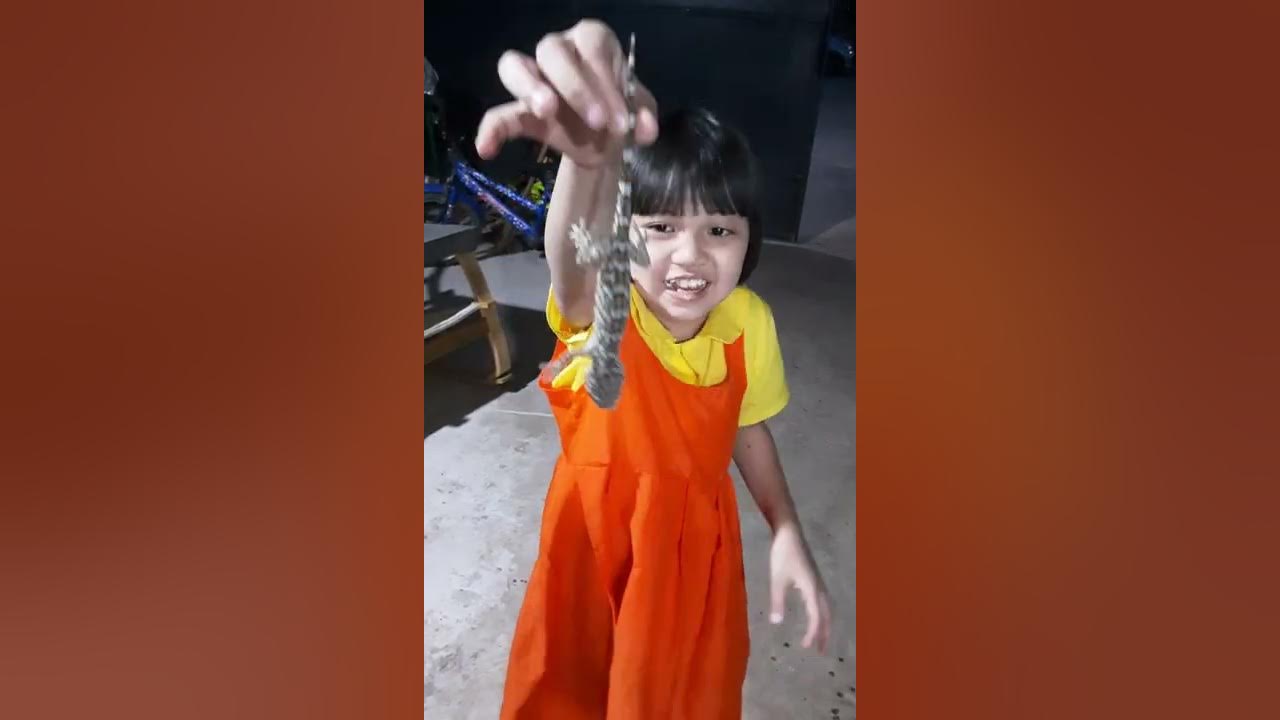 จับตุ๊กแก 2 จับตุ๊กแก 2