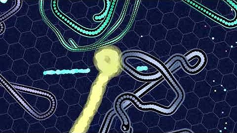 Gulper io 🕹️ Play on CrazyGames