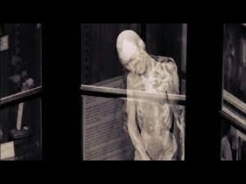 Through The Weeping Glᴀss On The Consolations Of Life Everlasting 2022 - YouTube