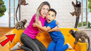 Bichos Estranhos Invadiram A Minha Casa Nova