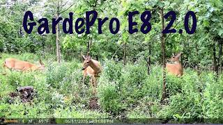 GARDEPRO E8 2.0 Trail Camera Review #gardepro #gardeproe82.0