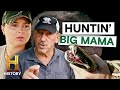 Swamp Exploration and Snake Encounters