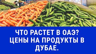 Что растет в ОАЭ|Цены на продукты в Эмиратах|Жизнь в ОАЭ