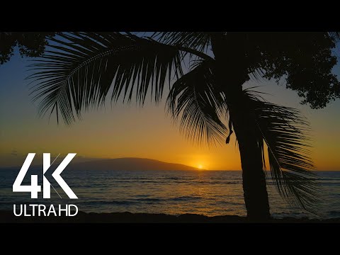 4K Tropical Beach Sunset - 10 HOURS Ocean Waves Sounds - Nature Soundscapes