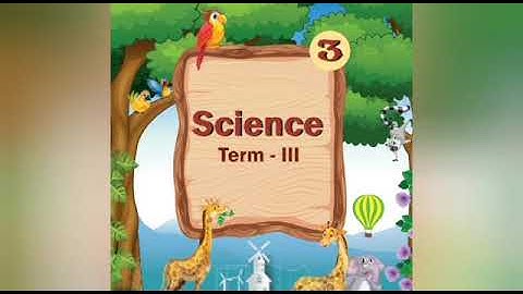 Our Environment/3rd std/ science/ Unit 1/ Term 3/ Samacheer syllabus/Tamilnadu
