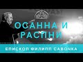 Осанна и Распни. Епископ Филипп Савочка