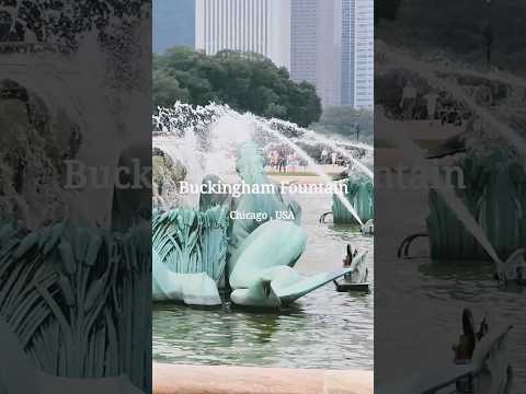 วีดีโอ: น้ำพุ Buckingham - สถานที่สำคัญและสถานที่ท่องเที่ยวในชิคาโก