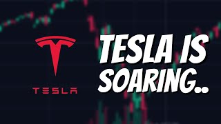 WOW HELLO TESLA STOCK. (Breaking News)