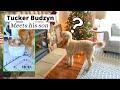 Tucker Budzyn Meets His Son | My Dog Reacts