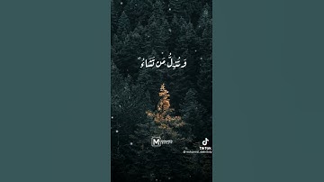 تلاوة خاشعة هادئة الشيخ ماهر المعيقلي تلاوة تلامس الروح 💛🦋||مقطع قرآن قصير 💚🎧