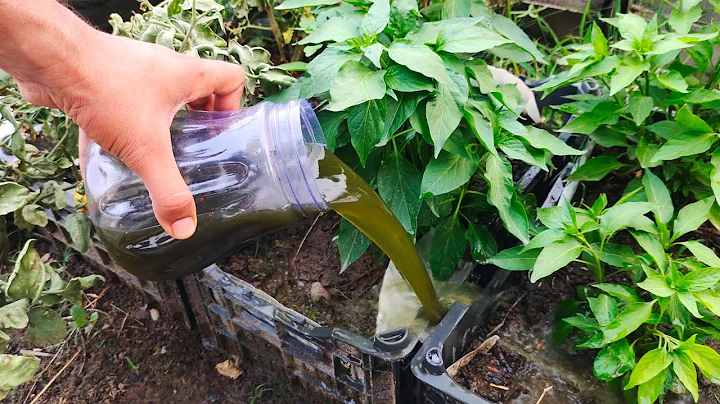 Banana Peels Fertilizers That Explode Your Garden Over The Night 