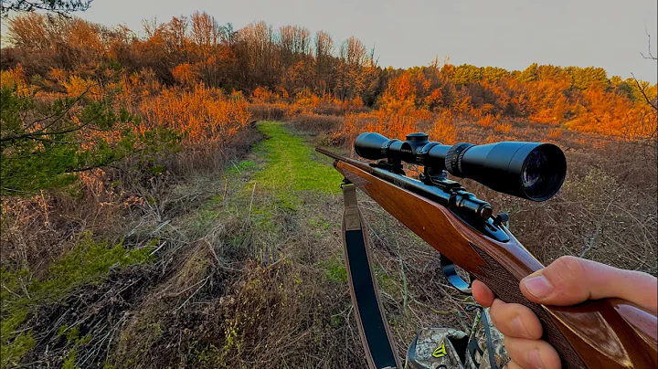 Deer Everywhere!  PA Rifle Season 2022 EP 2