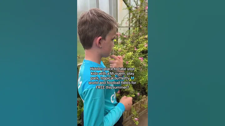 Summer holiday must! #prestonpark #daysoutwithkids #familyvlog #familydaysout - DayDayNews