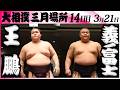 大相撲　王鵬ー義ノ富士＜令和８年三月場所・１４日目＞SUMO