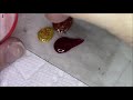 Middle of video