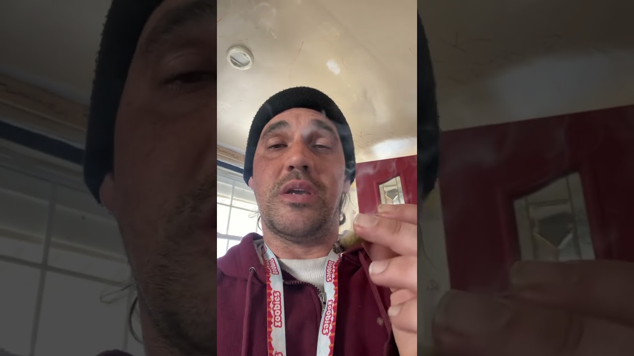 Flash review #1 CA-7 JK Distro Smalls 🔥🔥🔥 