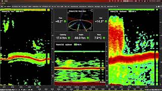 Marport Usa - Hake Ex Trident