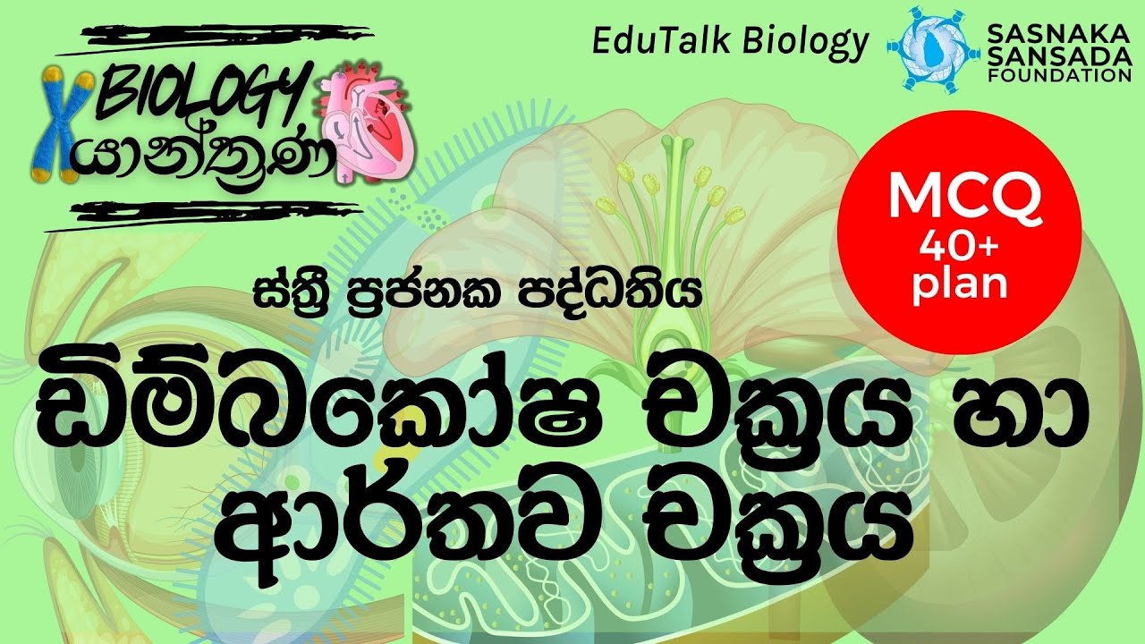 ඩිම්බකෝෂ චක්‍රය හා ආර්තව චක්‍රය | Ovarian Cycle & Uterine Cycle | EduTalk Biology
