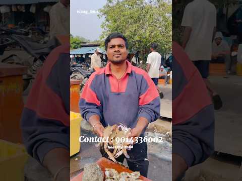 పీటలు 3 star crabs |Vizag Hari |#vizagfishingharbour