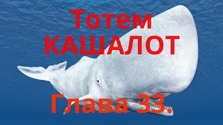 Тотем КАШАЛОТ. Глава 33. Энциклопедия &quot;Всё о Шаманизме&quot;. Шаман - Сергей Попроцкий.  Прямой эфир.