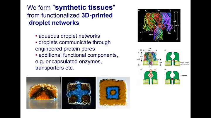 Build-a-Cell seminar Hagan Bayley: Designer tissue...