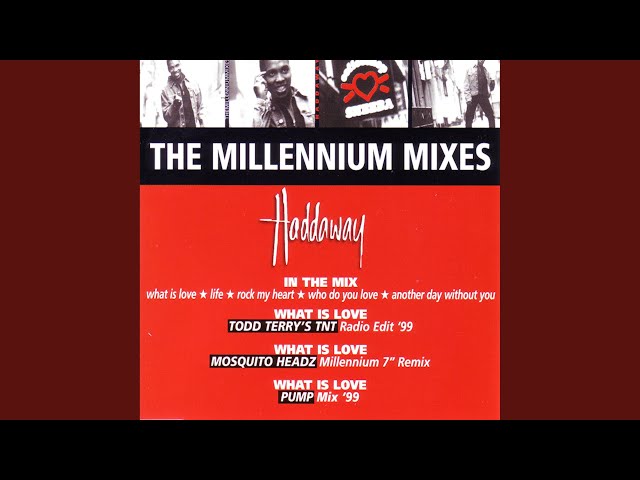 In the Mix (What Is Love / Life / Rock My Heart / Who Do You Love / Another Day Without You)