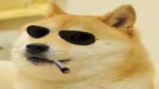 Video thumbnail of "You have encountered Ａ ＤＯＧＥ"