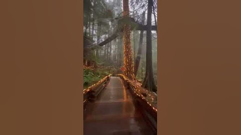 فَإِنَّ مَعَ الْعُسْرِ يُسْرًا || القارئ اسلام صبحي💙🍂