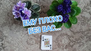 Ему плохо без вас сегодня.....Крестовый страдает.....