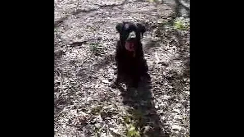 bonnie at borsdane woods
