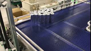 Live Transfer Mechanical Mass Conveyor