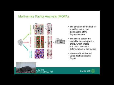 Video: Verkennen En Analyseren Van Single-cell Multi-omics Data Met VDJView