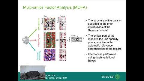 single-cell multi-omics data integration using MOFA+