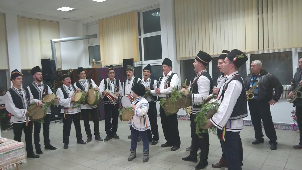 Dubasii de la Lesnic